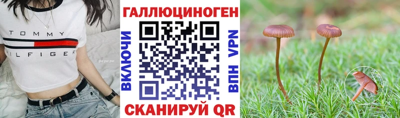 Галлюциногенные грибы Cubensis  Мыски 